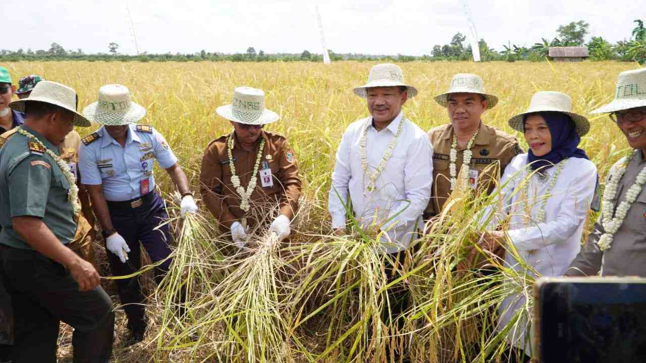 Pemprov Kalsel Apresiasi Panen Raya Program Lumbung Pangan Barito Kuala 2024