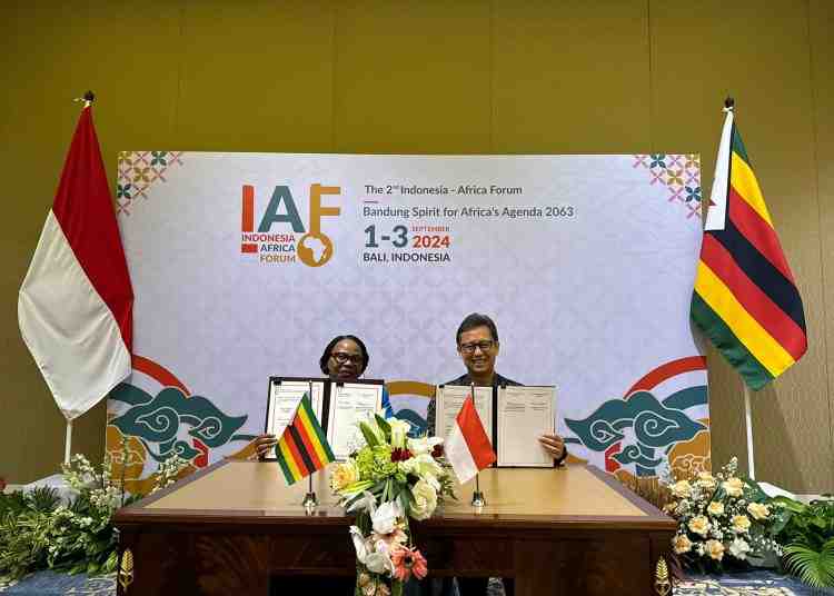 Kemenkes RI Jalin Kerja Sama Kesehatan dengan Sudan dan Zimbabwe