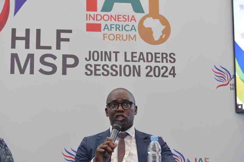 53 Negara Afrika Butuh Investasi dan Kerja Sama dengan Indonesia