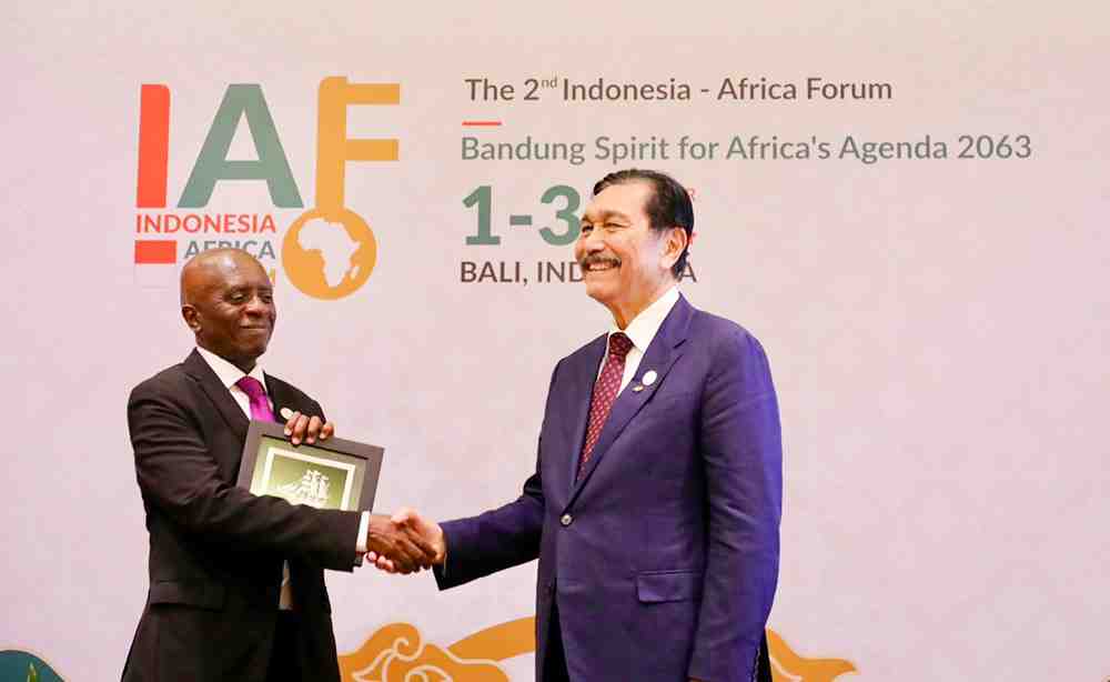 Task Force Indonesia - Mozambik: Fokusan Kerja Sama di Kesehatan, Energi, Infrastruktur, dan Perikanan
