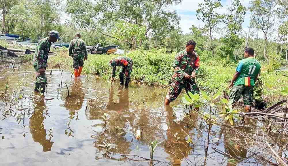Koramil 1709-03/Warbah dan Warga Tanam 200 Bibit Mangrove di Pantai Kampung Sarafambai