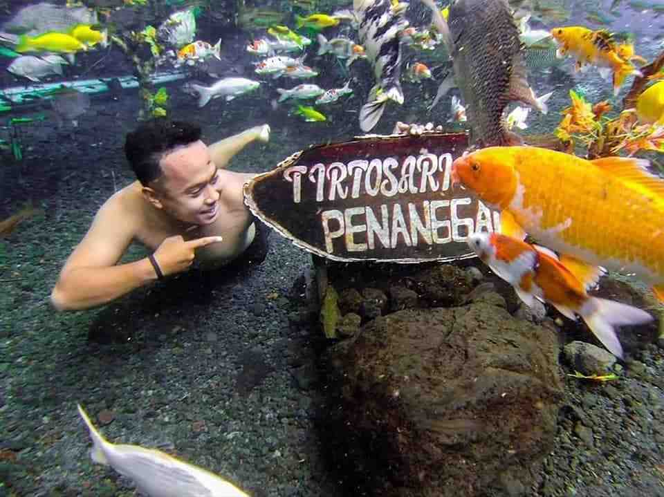 Eksplorasi Tirtosari View, Destinasi Wisata dengan Spot Foto Bawah Air Unik di Lumajang