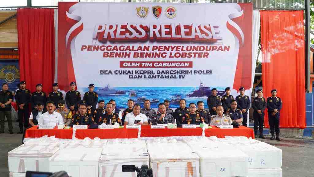 Polri Gagalkan Penyelundupan 237.305 Benih Lobster di Perairan Bintan