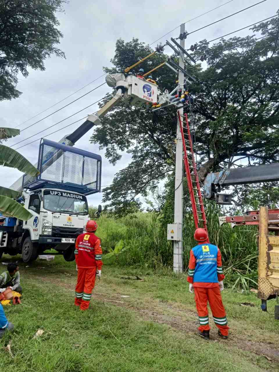 Tingkatkan Keandalan Listrik Nataru, PLN Gelar Pemeliharaan Jaringan Serentak di Jatim