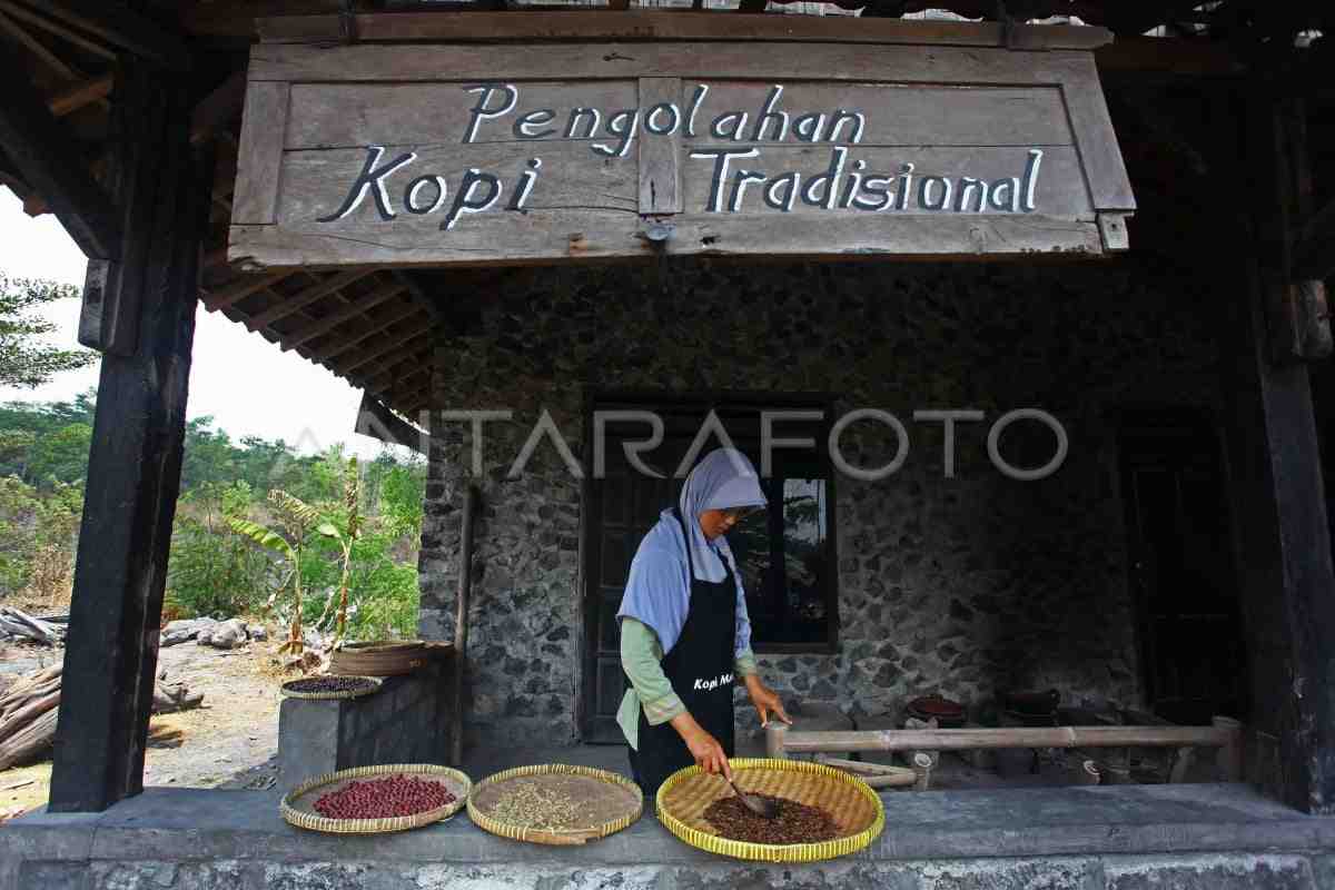Perlindungan Kekayaan Intelektual Kopi Robusta Sleman Tingkatkan Pendapatan Petani