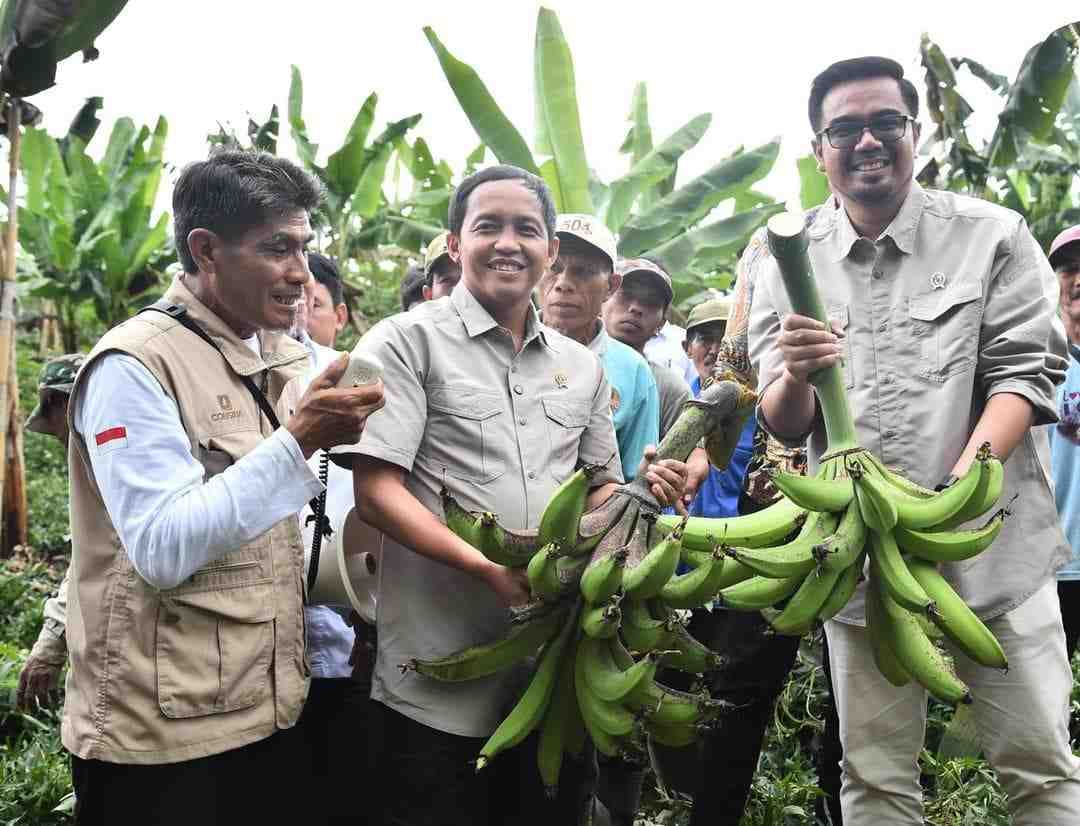 Lumajang Jadi Percontohan! Model Perhutanan Sosialnya Dilirik Internasional