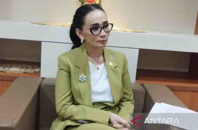 DPR RI Dukung Kerja Sama Alutsista RI-Prancis, Tekankan Transparansi dan Transfer Teknologi