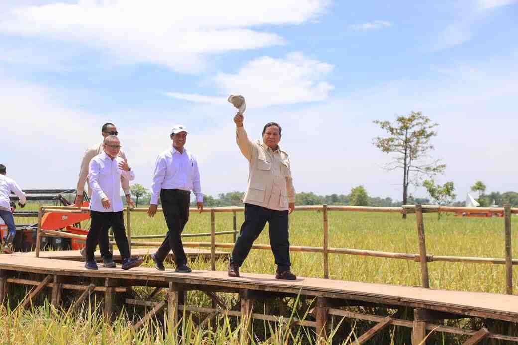Swasembada bukan lagi Wacana, Program Pertanian Prabowo Sentuh Petani