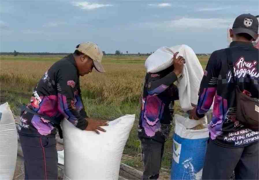 Brigade Pangan Kementan, Langkah Strategis Regenerasi dan Swasembada