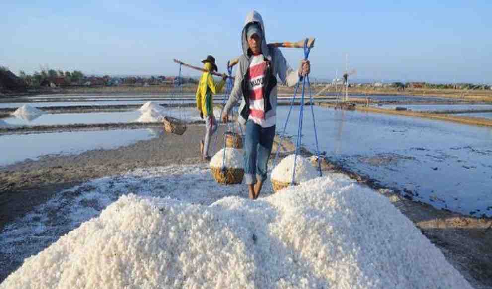Saatnya Industri Garam Indonesia Berdiri Tegak di Kaki Sendiri