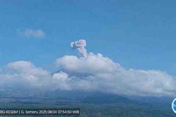 Waspada, Erupsi Semeru Capai 800 Meter