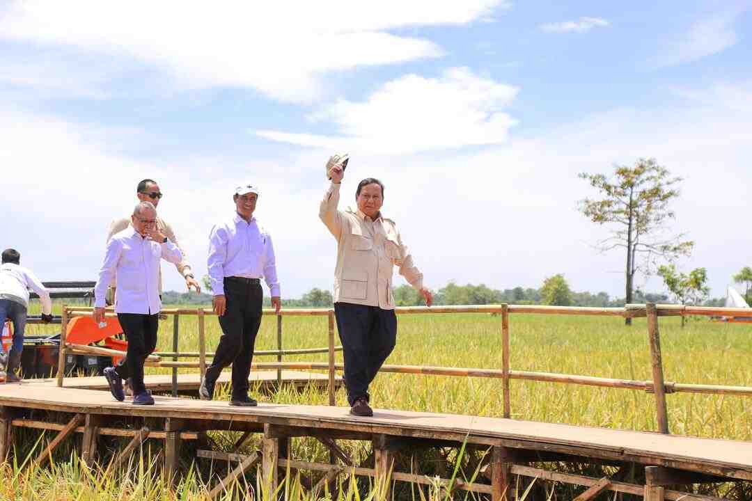 Ketahanan Pangan Indonesia Aman dan Kuat