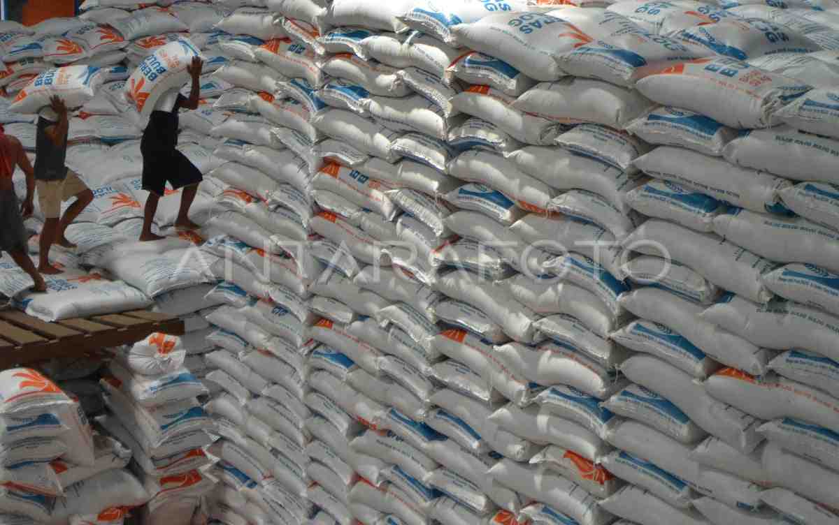 Mendagri: Strategi Pemerintah Jaga Stabilitas Beras Tunjukkan Hasil Positif