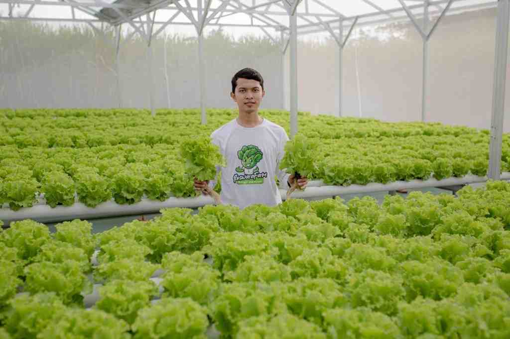 Dari Sepiring Porsi MBG, Tumbuh Ekonomi Lokal di Lumajang