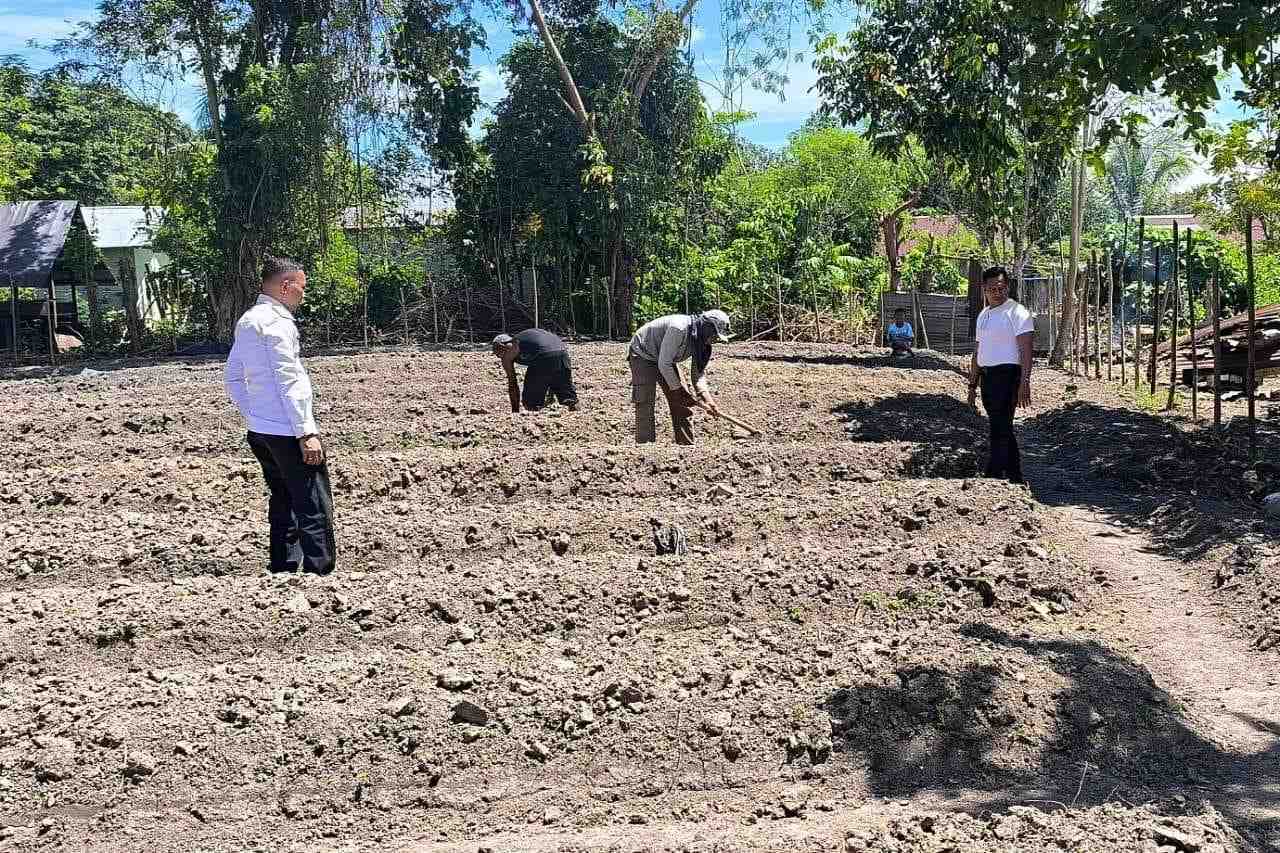 Menteri Imipas: Total Upah untuk Napi di Program Ketahanan Pangan Capai Rp700 Juta
