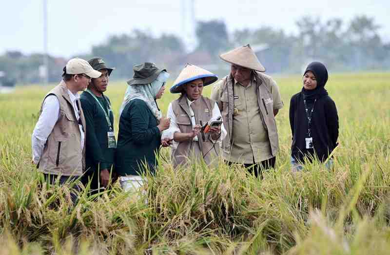 Kemkomdigi Dorong Pertanian Digital untuk Perkuat Ketahanan Pangan Nasional