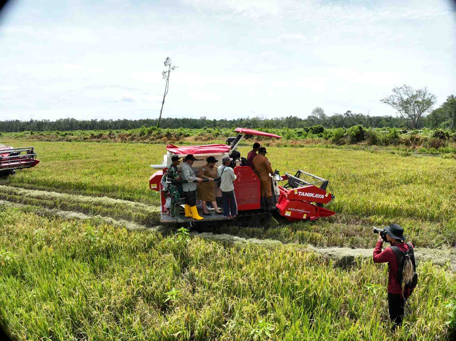 Dari Tanah Leluhur, Padi dan Harapan Tumbuh