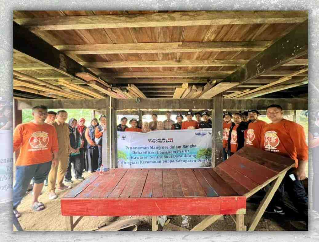 Rehabilitasi Mangrove di Pinrang Jadi Solusi Alami Atasi Abrasi 