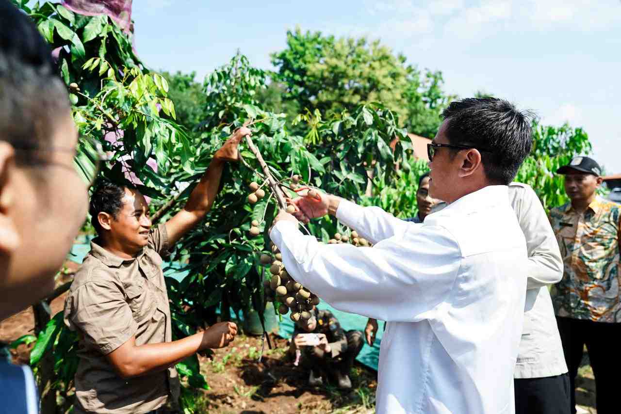 Target 0 Persen Kemiskinan Ekstrem, Kemenko PM Perkuat Ekonomi Kawasan