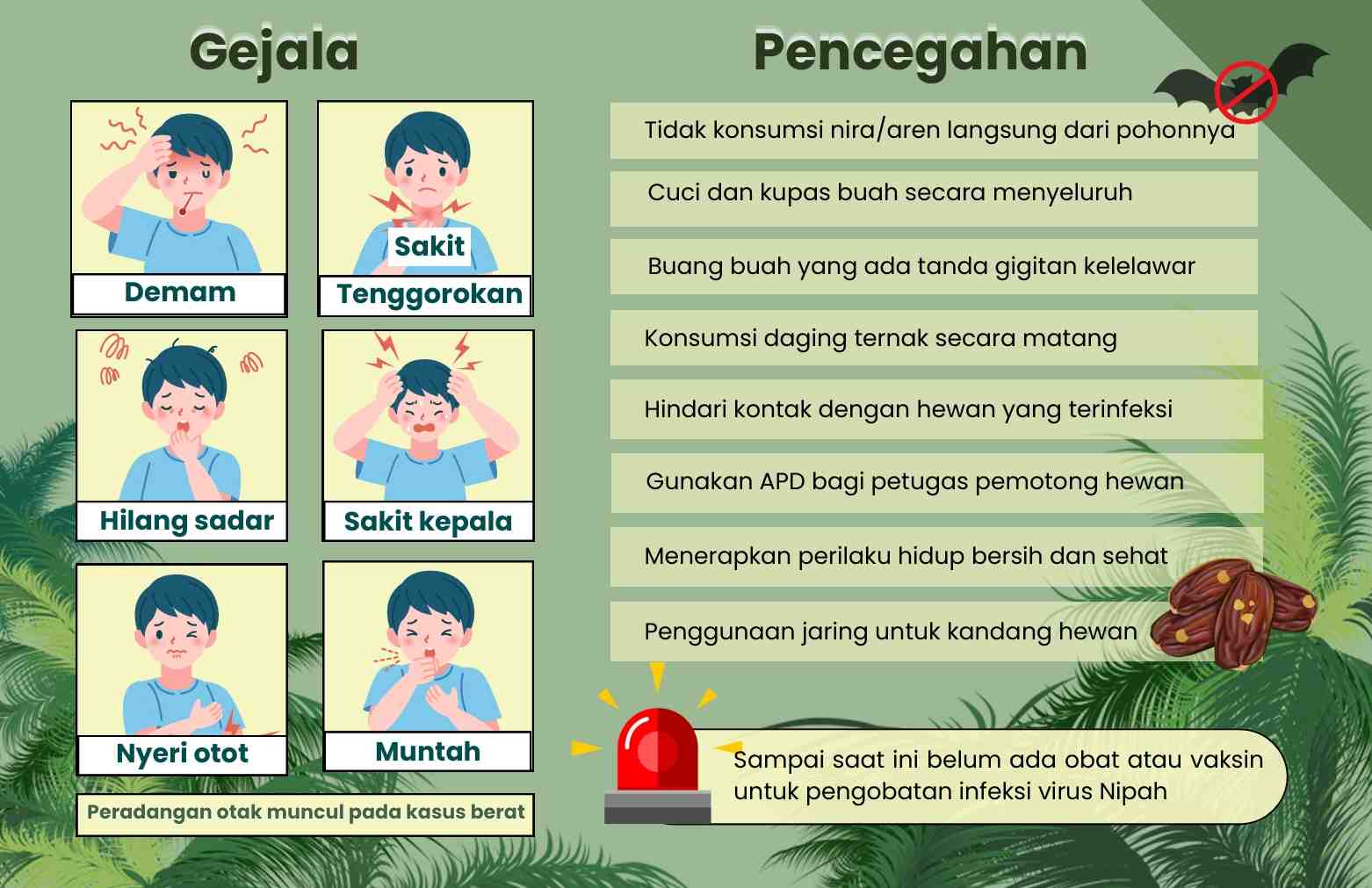 Virus Nipah Jadi Perhatian, Pemerintah Ajak Masyarakat Tingkatkan Kewaspadaan