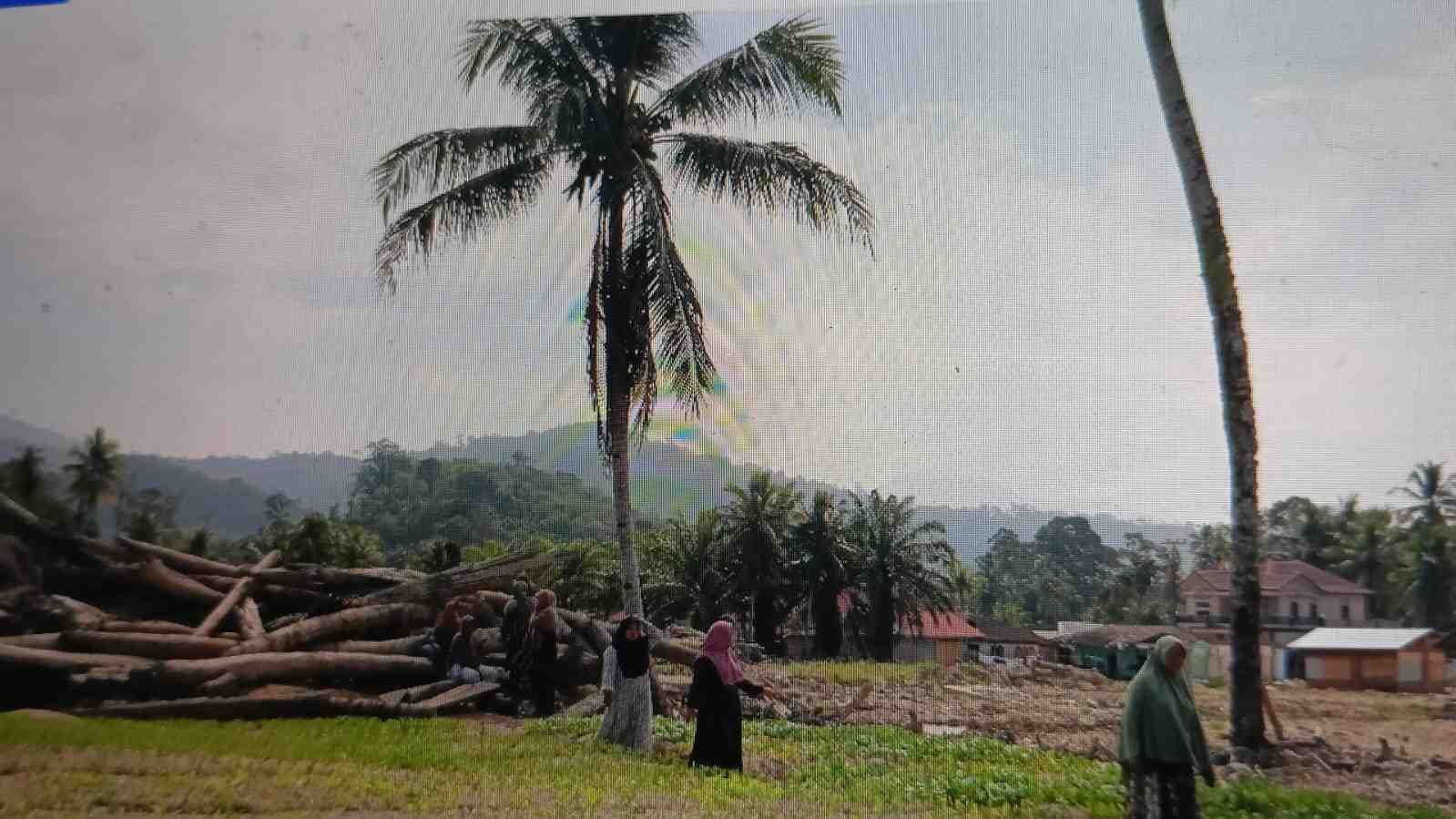 Program Mahasiswa Berdampak Dorong Pemulihan Lahan dan Ekonomi Tapanuli Selatan Pascabencana