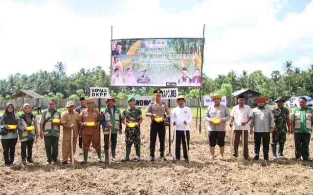 Antisipasi El Nino, Sumenep Percepat Tanam Padi dan Jagung Hibrida