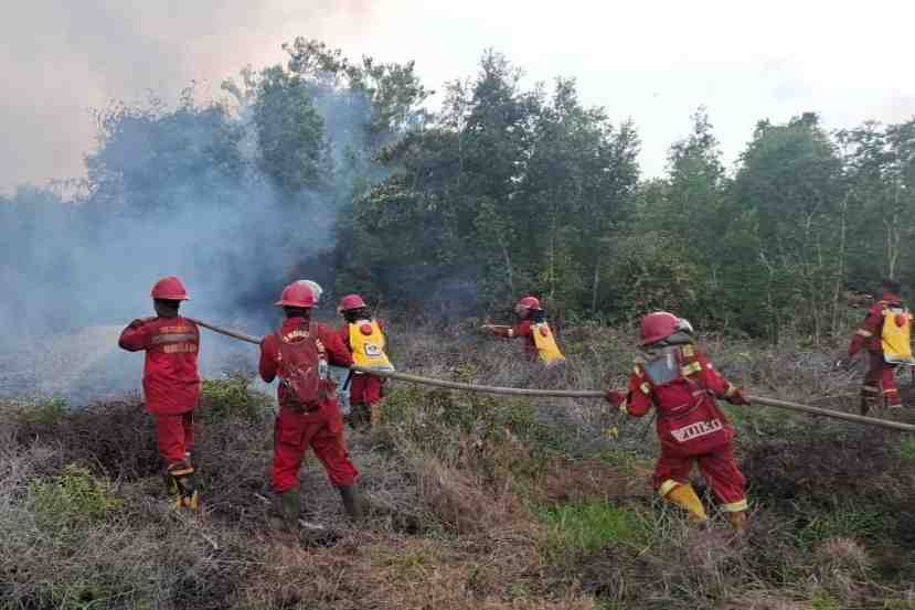 Karhutla di Riau, Pemadaman Difokuskan Cegah Api Dekati Permukiman