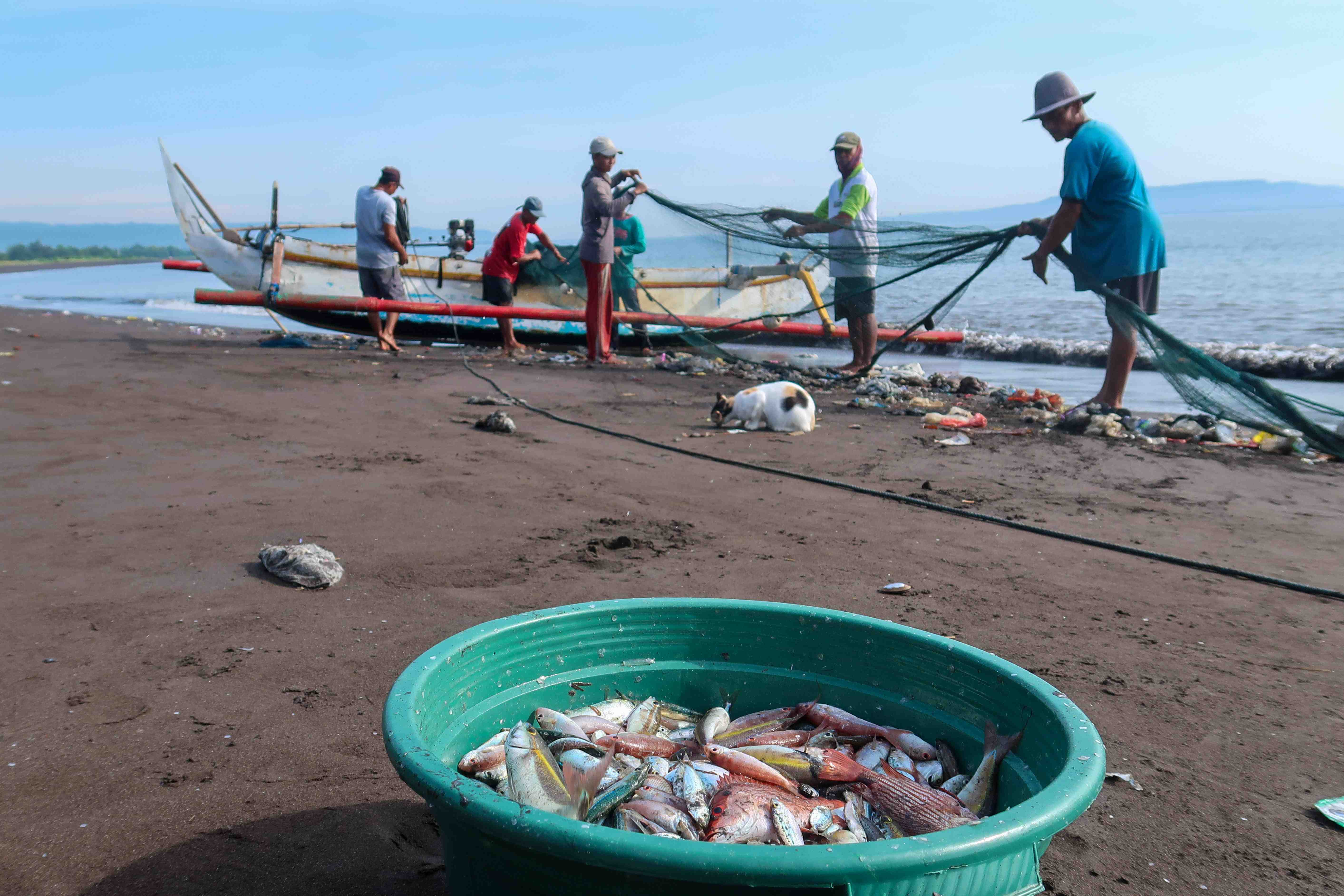 Riset BRIN Ungkap Penguat Upwelling Selatan Jawa, Potensi Ikan Meningkat