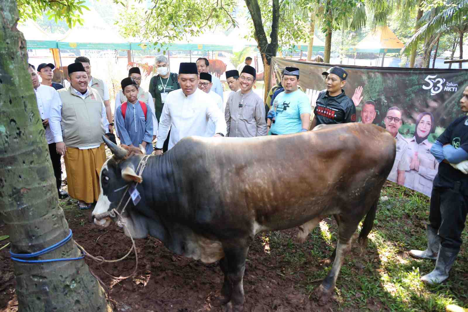 Ketersediaan Hewan Kurban Nasional Surplus, Pasokan Aman