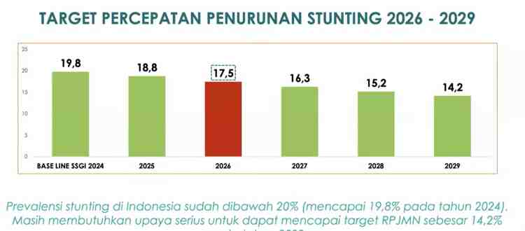 Intervensi Masa Krusial Jadi Fokus Kemenkes Tekan Angka Stunting