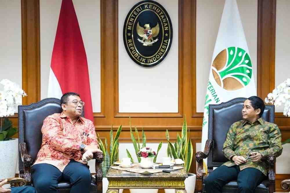 Sebanyak 1,4 Juta Keluarga Perhutanan Sosial Disiapkan Masuk Skema Perlindungan Kesehatan