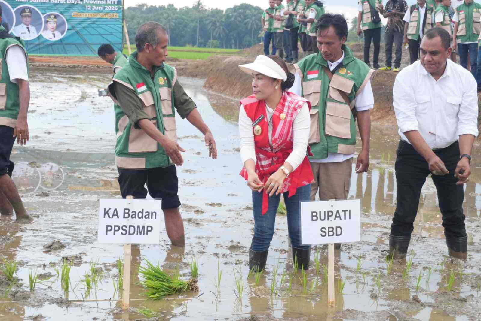 Kolaborasi Lintas Sektor di SBD Perkuat Ketahanan Pangan Daerah