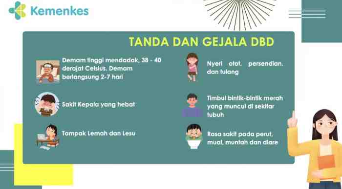 Sering Mengecoh, Kemenkes Ingatkan Bahaya Fase Kritis Demam Berdarah