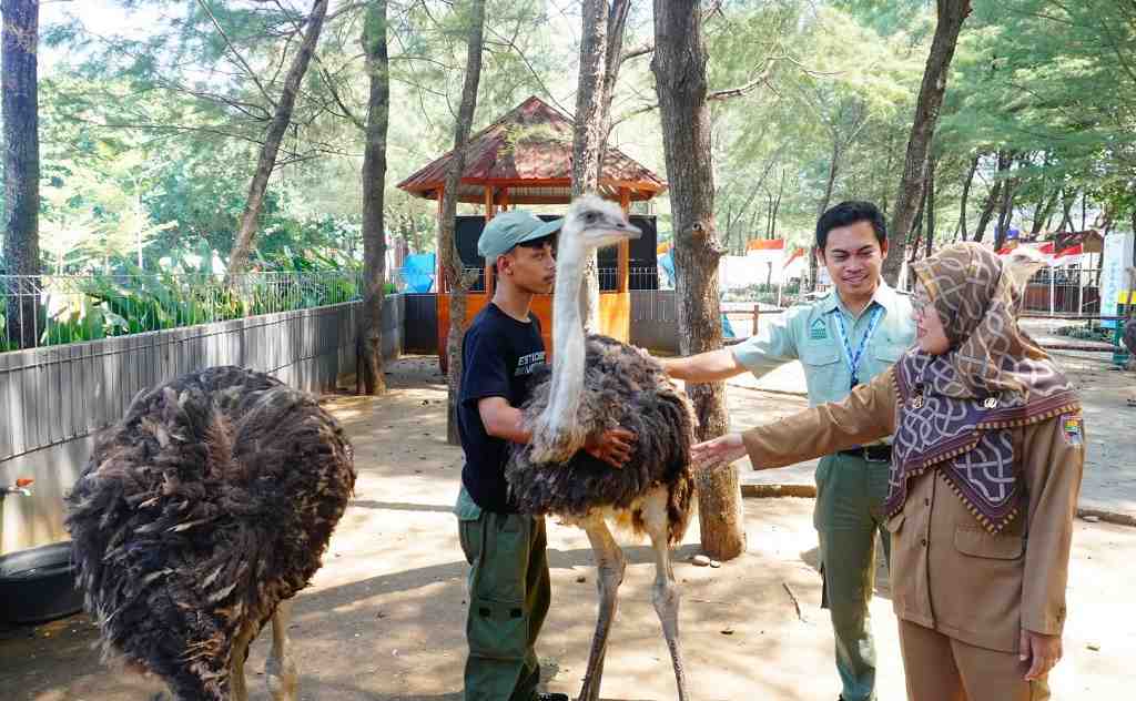 Bupati Batang Rekomendasikan Wisata Lokal selama Libur Sekolah, Beach Safari dan Curug Genting Jadi Andalan