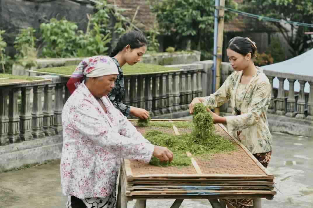 Festival Lembutan Bansari Hadirkan Transaksi Koin Kayu 