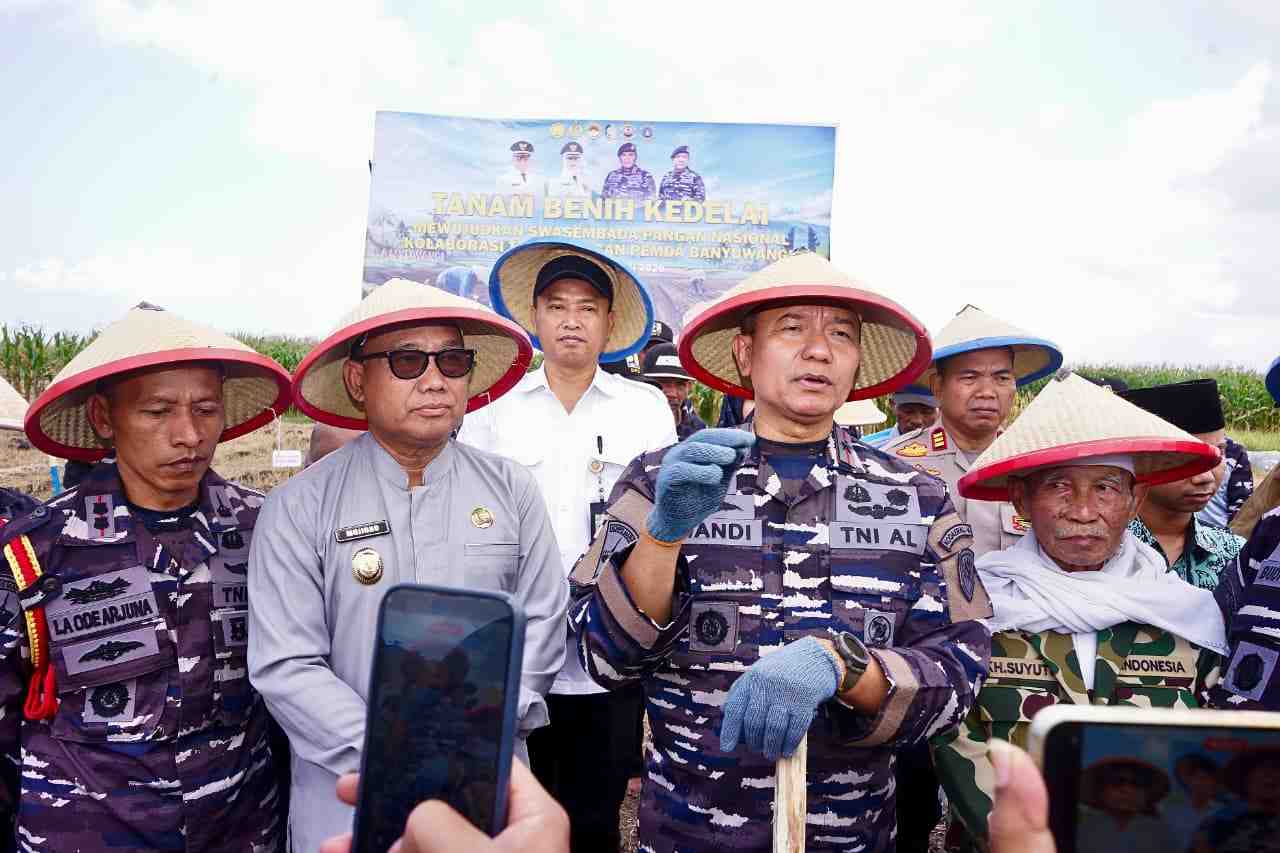 Target Kurangi Impor, TNI AL dan Pemkab Banyuwangi Garap 1.200 Hektare Lahan Kedelai