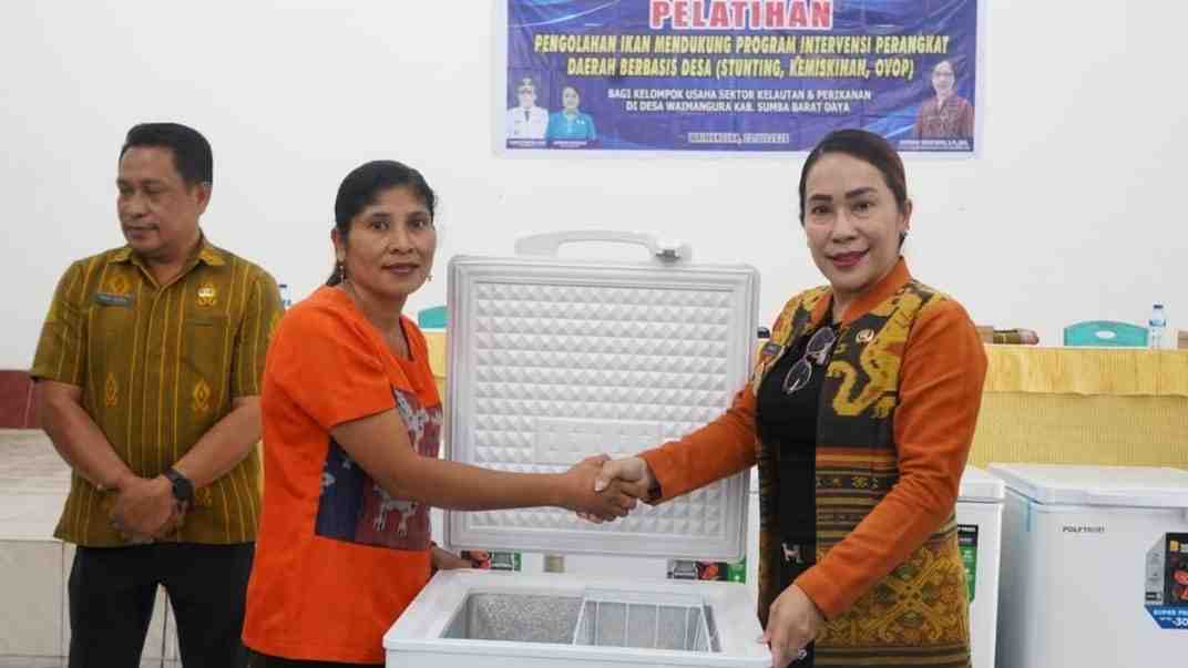 OVOP dan Gemarikan Jadi Strategi SBD Tekan Stunting Lewat Penguatan Ekonomi Desa