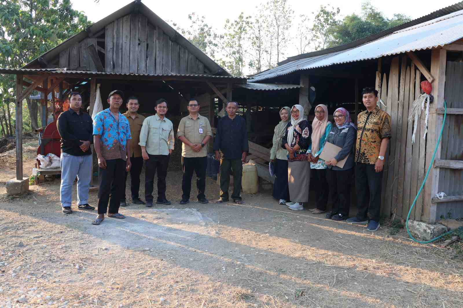 Lembu Suro Jadi Wakil Bojonegoro, Kekompakan dan Potensi Sapi PO Jadi Keunggulan