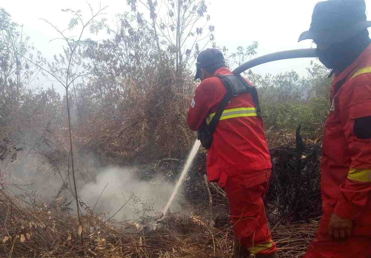 Dari Kampar hingga Indragiri Hulu, Manggala Agni Berjibaku Kendalikan Karhutla