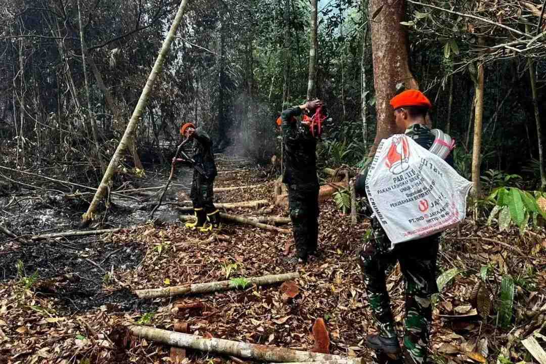 Tiga Tim Alfa Kopasgat Diterjunkan ke Lokasi Karhutla Pelalawan