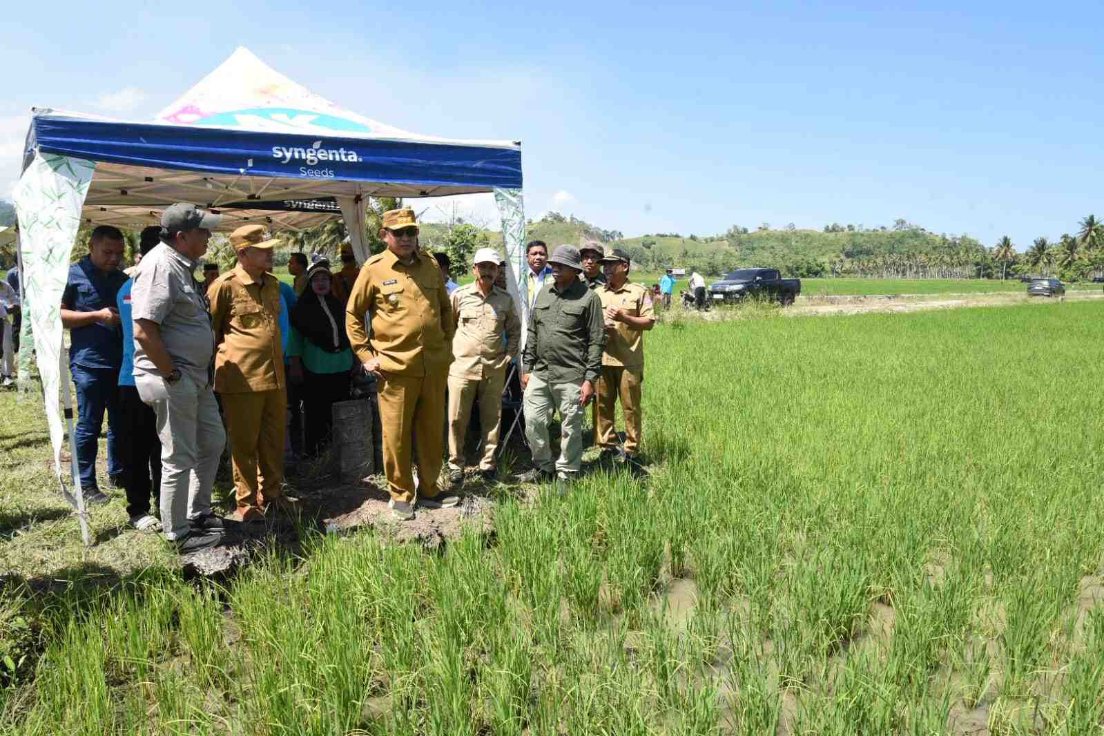 Bantuan Alsintan  Tingkatkan Hasil Panen Sawah 20 Hektare