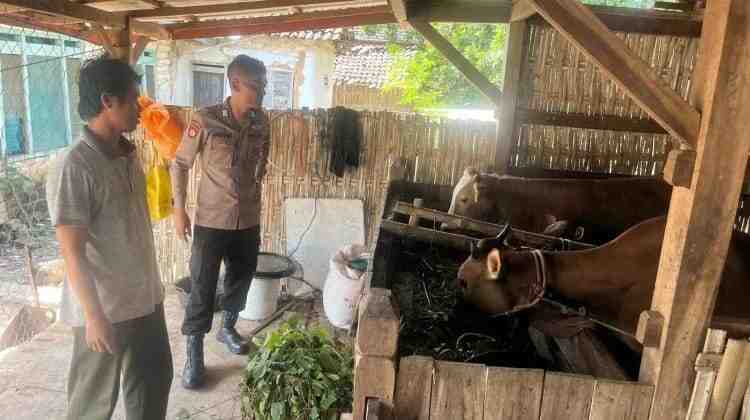 Program Pekarangan Pangan Bergizi Didorong, Polsek Batuputih Kawal Asta Cita di Sumenep