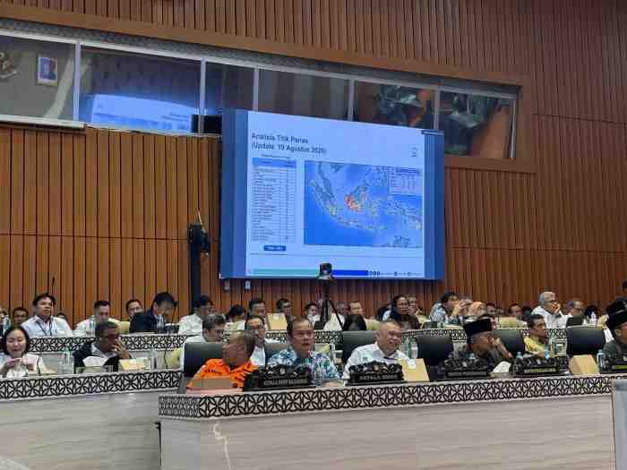 BMKG Waspadai Karhutla di Empat Provinsi Prioritas