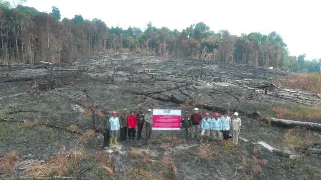 Tindak Lanjut Karhutla 1.511 Hektare, Kemenhut Sanksi Enam Perusahaan di Kalimantan