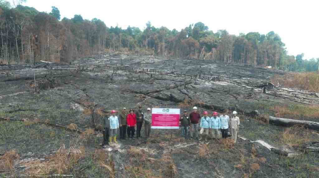 Gagal Kendalikan Karhutla di 1.511 Ha Lahan, Enam Perusahaan Dijatuhi Sanksi Administratif
