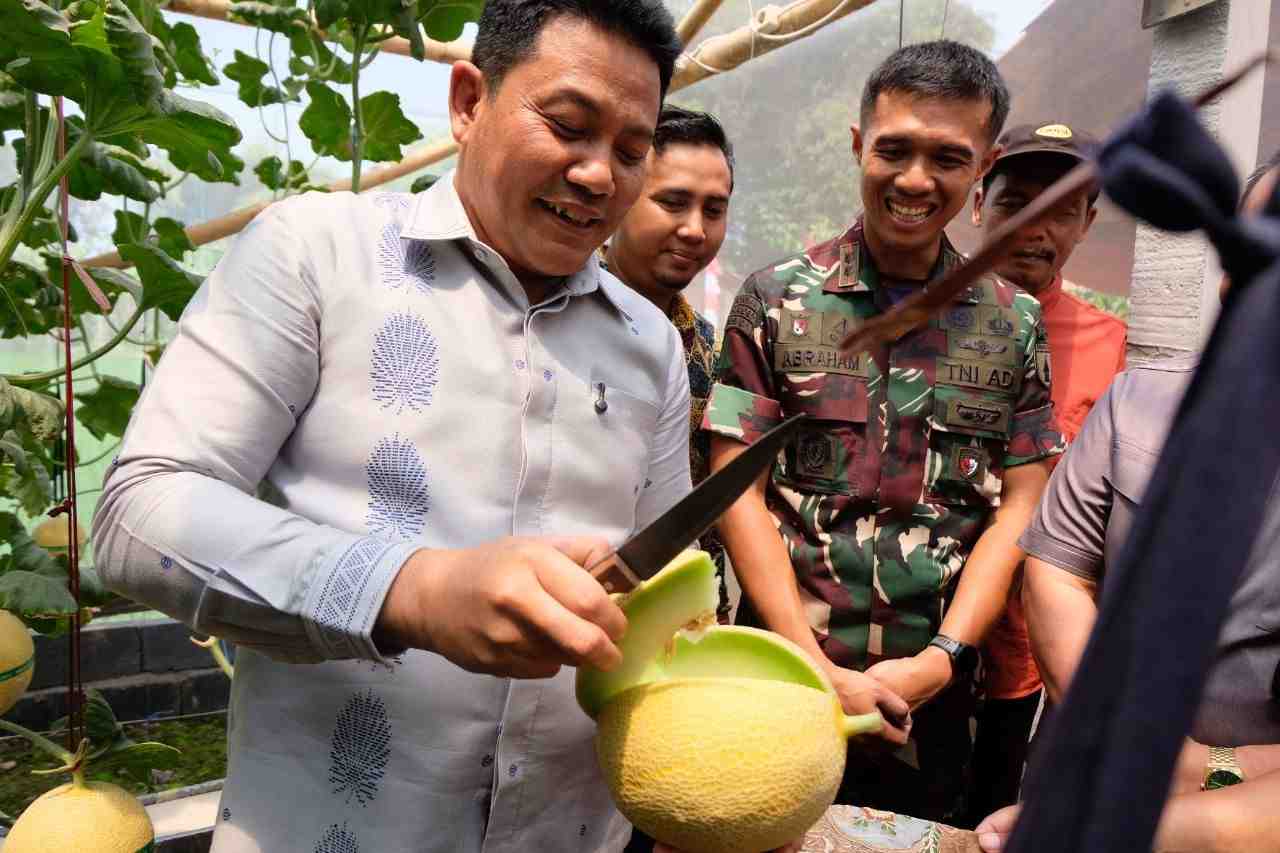 BUMDes Candi Negoro Kembangkan Wisata Petik Melon Berbasis Smart Farming