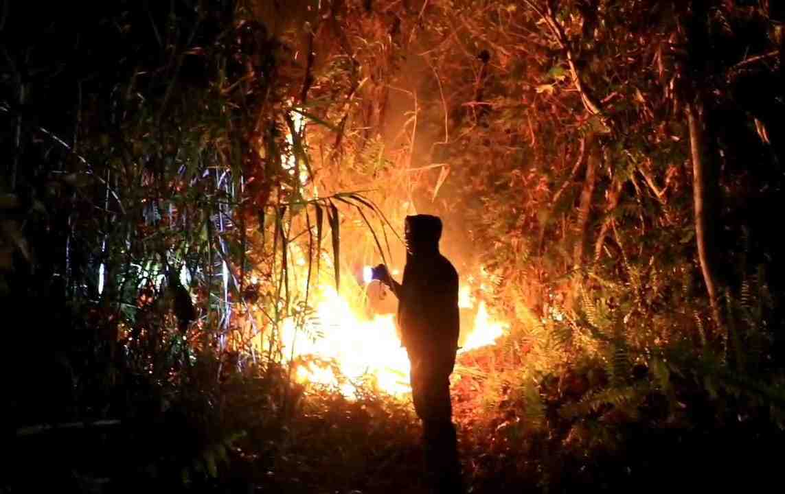 Titik Karhutla Baru Muncul di Sungai Beringin, 3 Hektare Lahan Terbakar