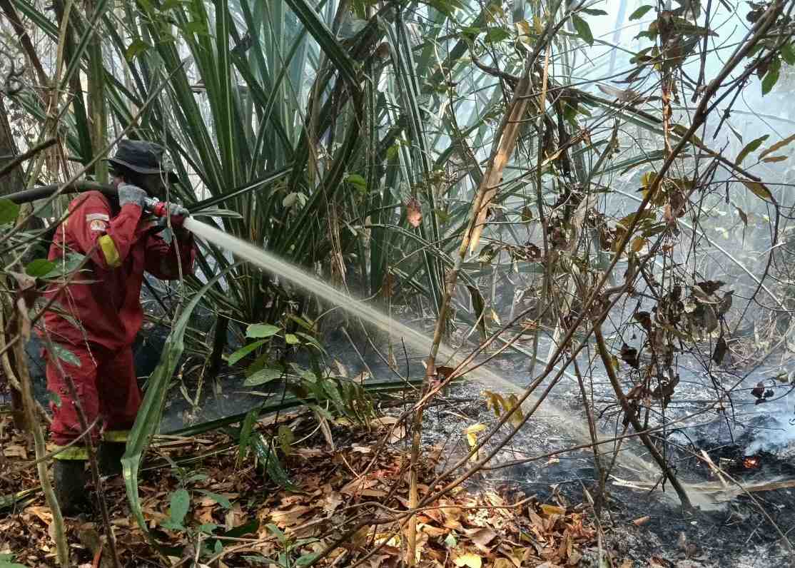 Karhutla Meluas di Empat Daerah Riau, Pemadaman Terus Dilakukan