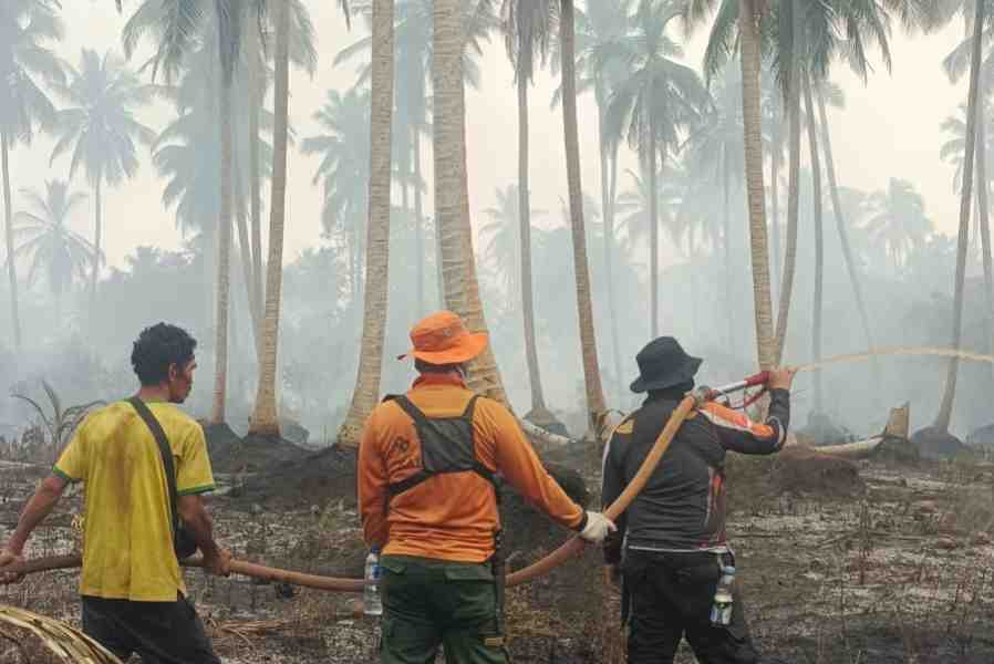Dua Lokasi Karhutla di Kecamatan Gaung Ditangani, Penyebab Api Masih Diselidiki