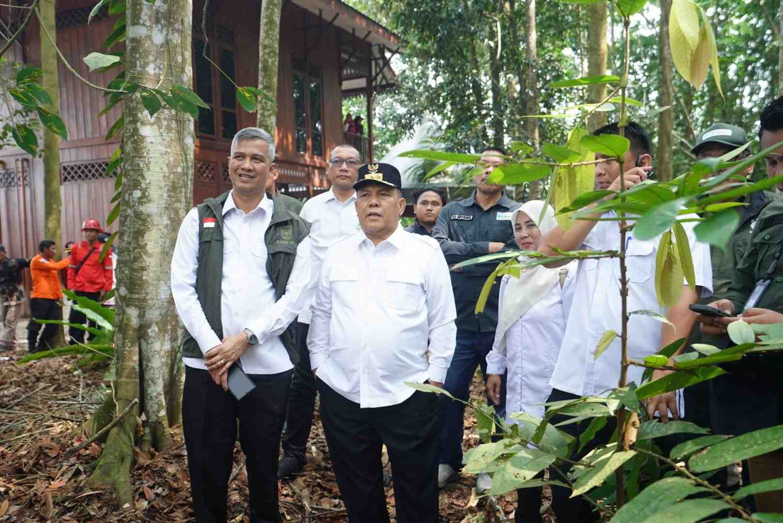 Capaian Restorasi Gambut Riau Tembus 451 Ribu Hektare